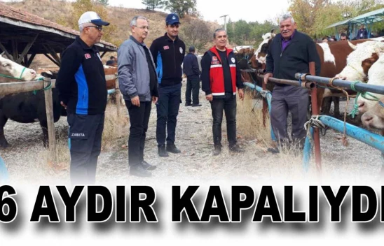 Tosya Hayvan Pazarı Yeniden Açıldı