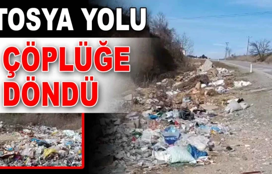 Tosya Yolu Çöplüğe Döndü