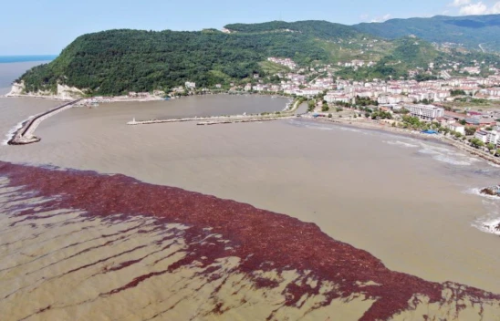 Turistlerin yerini çamur aldı