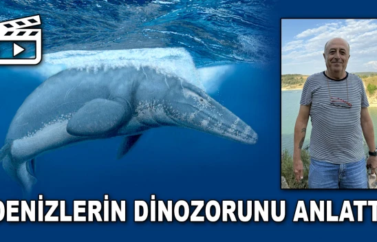 Türk Profesör Denizlerin Dinozorunu Anlattı