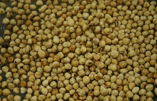 Türkiye'nin 11 Aylık Fındık İhracatı 2 Milyar 190 Milyon Doları Aştı