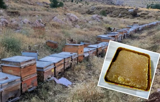 Ulubaba Dağ Balı Anzer Balına Rakip