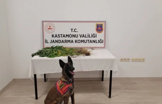 Uyuşturucu operasyonu: 3 gözaltı