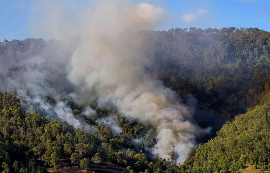 Valilik, Orman Yangınlarına Karşı Yasakları Yeniden Hatırlattı
