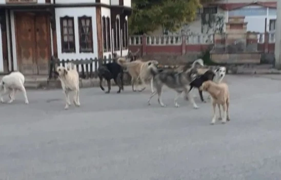 Vatandaşlar Tedirgin!