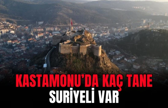 Veriler Güncellendi, İşte Kastamonu'daki Suriyeli Sayısı
