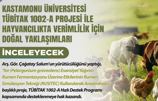 Verimlilik İçin Doğal Yaklaşımlar İncelenecek