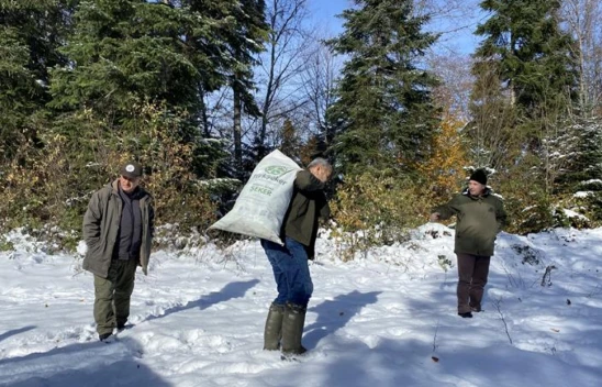 Yaban Hayatına Yem ve Yiyecek Desteği Devam Ediyor
