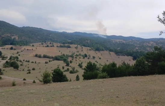 Yangın Kontrol Altına Alındı