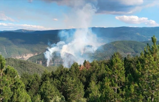 Yangında 35 Dekar Alan Zarar Gördü