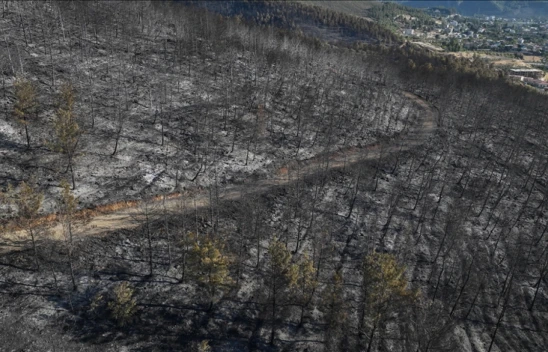Yangında Zarar Gören Alanlar Dronla Görüntülendi