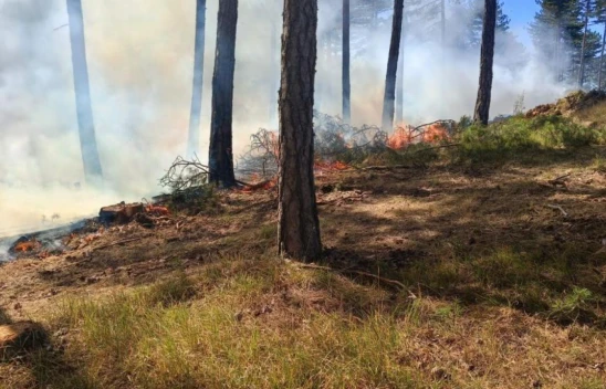 Yangınlara Müdahale Devam Ediyor