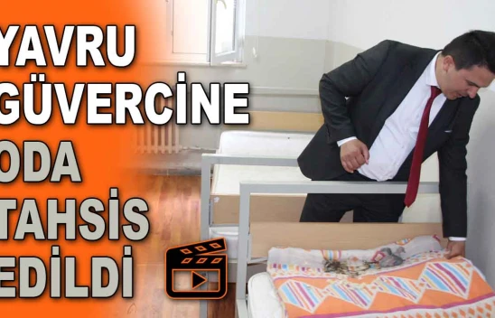 Yavru Güvercine Oda Tahsis Edildi