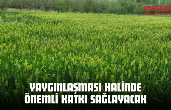 Yaygınlaşması Halinde Önemli Katkı Sağlayacak