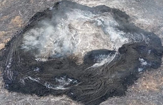 Yeniçağa'da Çıkan Örtü Yangını Söndürüldü