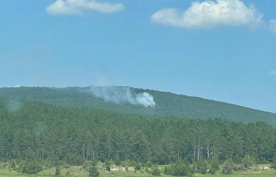 Yıldırım ormanı yaktı