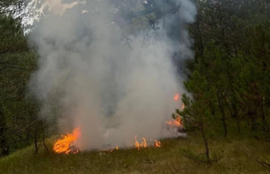 Yıldırımın Düştüğü Ormanlık Alanda Yangın Çıktı
