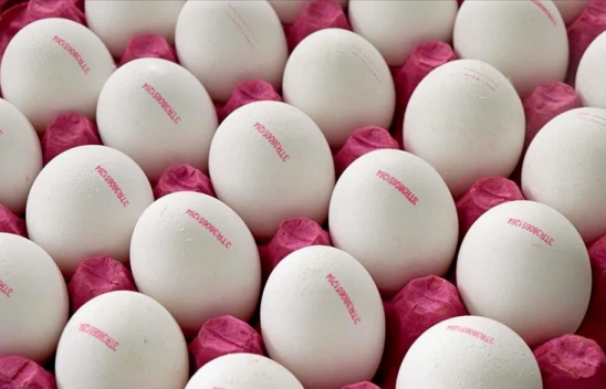 Son Tüketim Tarihinde Yeni Düzenleme