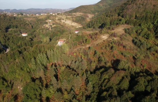 Zonguldak Ormanlarında Sonbahar Güzelliği