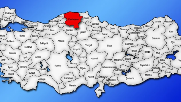 736 bin 548 Kastamonulu dışarıda
