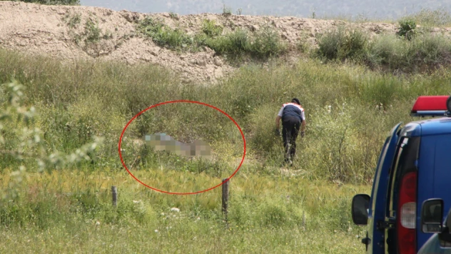 2 ÖLÜ, 2 AĞIR YARALI