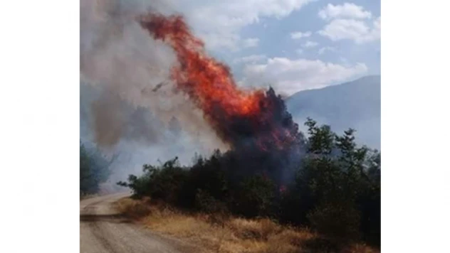 4 samanlık, 50 dönüm tarım arazisi yandı
