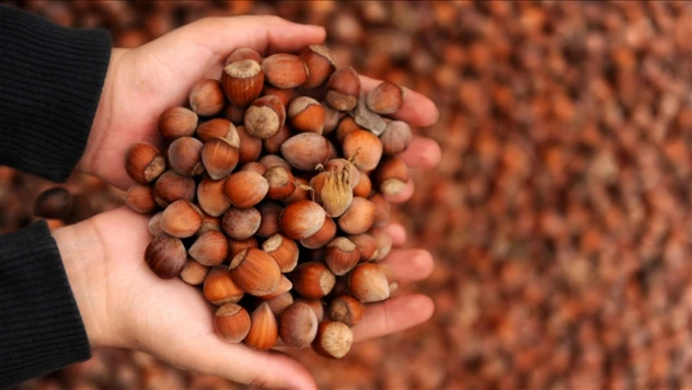 1 Milyar 466 Milyon Dolar Gelir Sağlandı