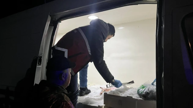 1 Ton 300 Kilogram Balığa El Konuldu