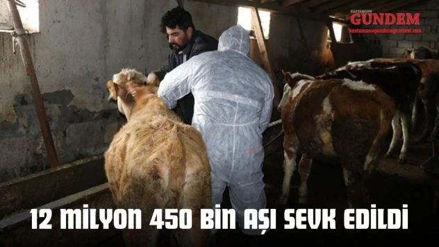 12 Milyon 450 Bin Aşı Sevk Edildi