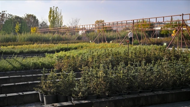 15 Milyon Fidanın Sahiplenilmesi Hedefleniyor