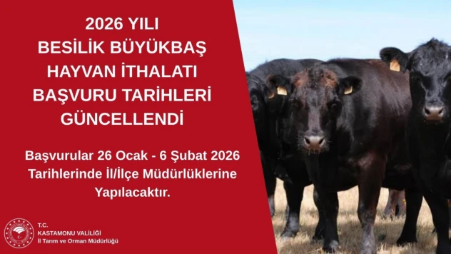 2026 Yılı Besilik Büyükbaş Hayvan İthalatı Başvuruları İçin Tarihler Açıklandı