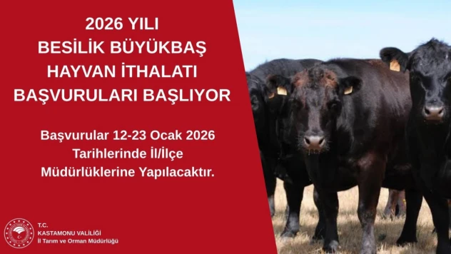 2026 Yılı Besilik Hayvan İthalatı Başvuruları Başlıyor