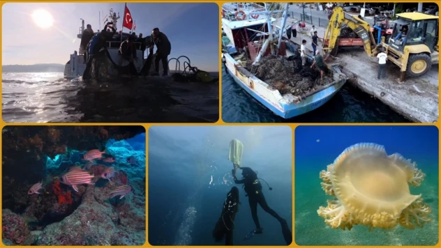 360 Bin Metrekare Hayalet Ağ Temizlendi