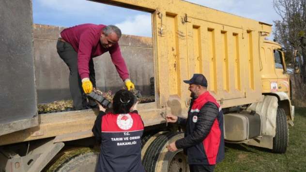 38 Bin Fide Dağıtımı Yapıldı