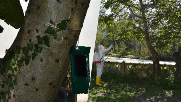 40 İlde 1 Milyon 156 Bin Doğal Düşman Salımı Gerçekleştirildi