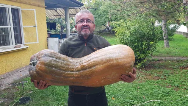 O Kabağı Görenler Şaşırdı!