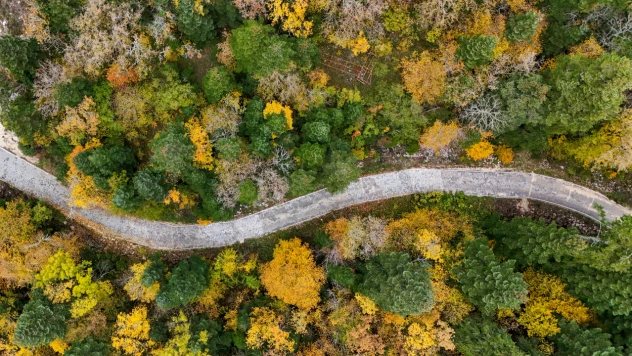 450 Metre Yükseklikten Sonbahar Güzelliği