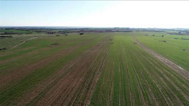 48,8 Milyon Metrekare Arazi Bitki Yetiştirilmek Üzere Kiralandı