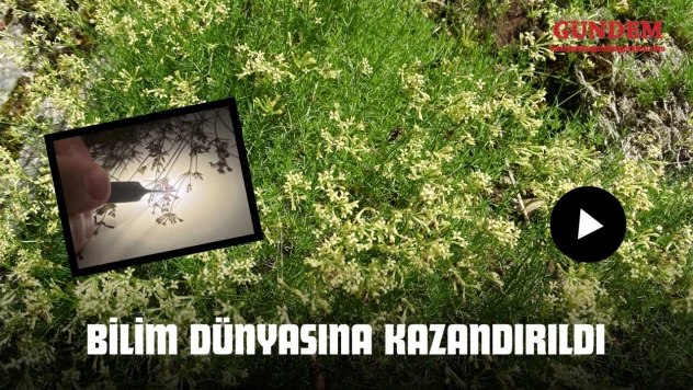 5 Yıllık Çalışmayla Bilim Dünyasına Kazandırıldı