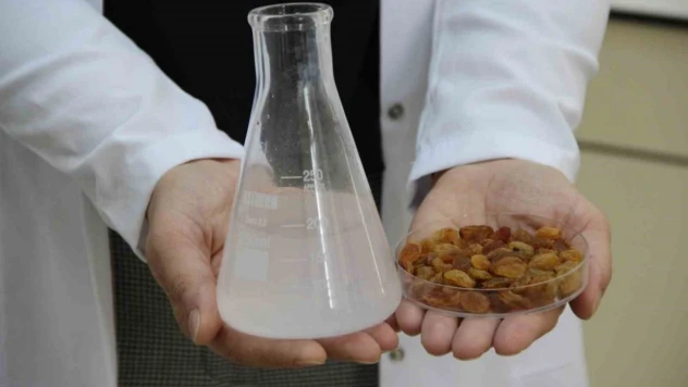 500 Milyon Dolarlık İhracata Bilimsel Kalkan