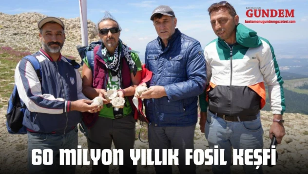 60 Milyon Yıllık Fosil Keşfi