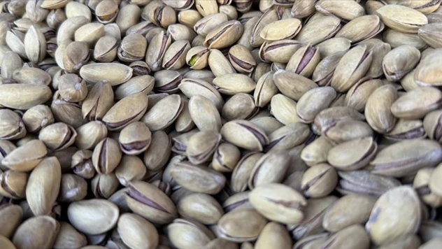 9 Aylık Fıstık İhracatı 152 Milyon 622 Bin Dolar Oldu