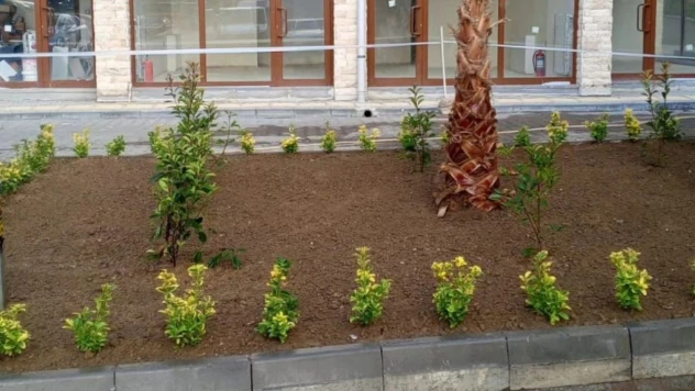 Abana'da Tarihi Hamam Yenilendi