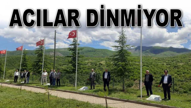 Acılar Dinmiyor