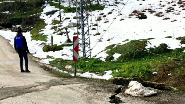 AFAD, Cide'de Sahada İncelemede Bulundu