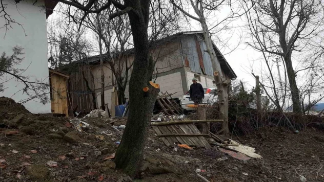 Ağaç Budarken Kafasına Dal Düştü, Yaralandı
