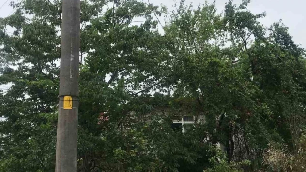 Elektrik Telleri Tehlike Saçıyor