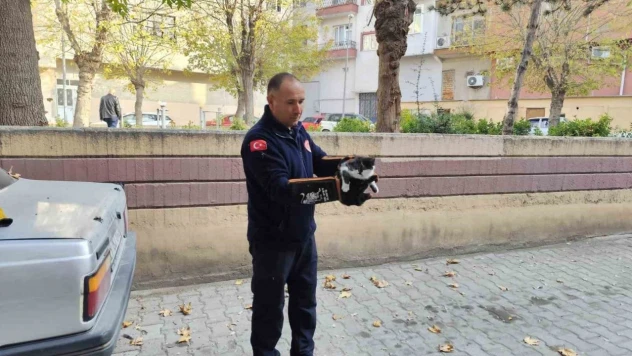 Kedi İtfaiyeyi Seferber Etti