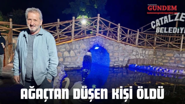 Ağaçtan Düşen Kişi Öldü