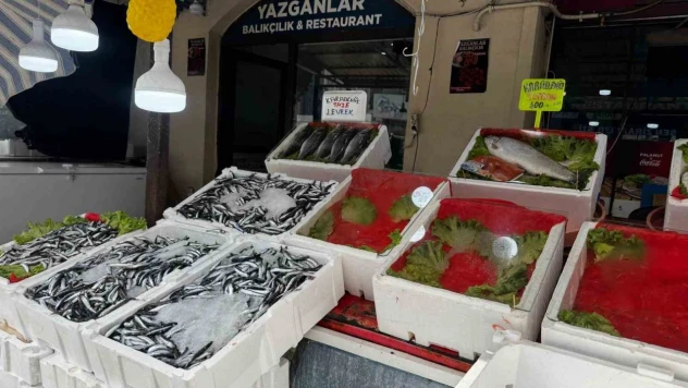Balık Tezgâhları Boş Kaldı